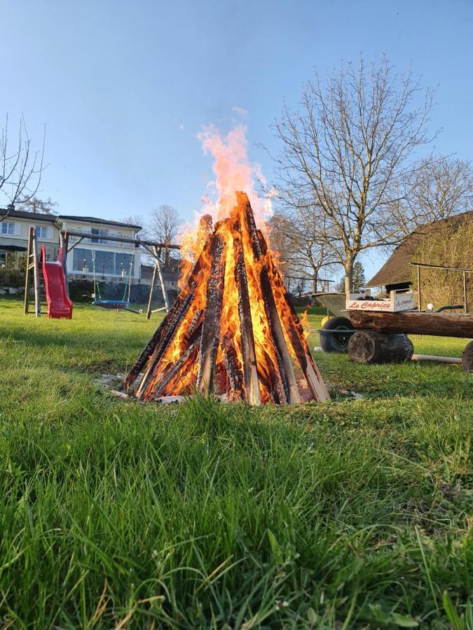 Ferienhof Leopold In Der Grub Ort im Innkreis Exteriör bild