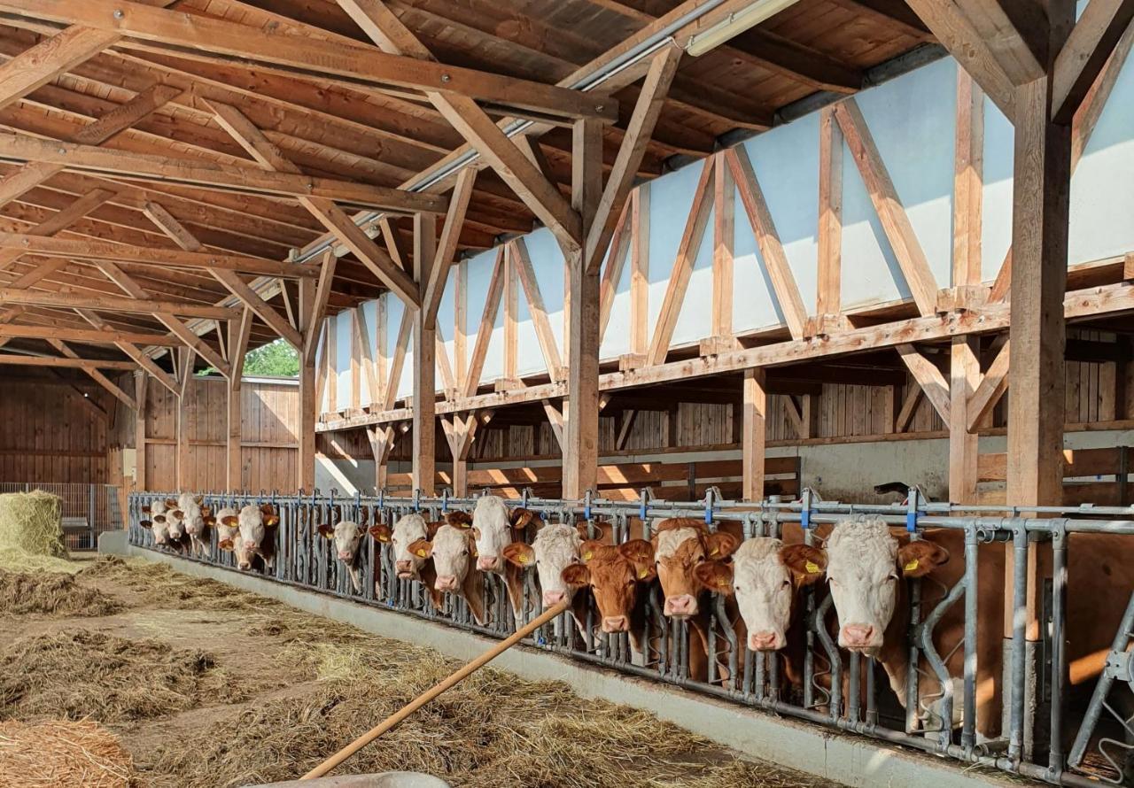 Ferienhof Leopold In Der Grub Ort im Innkreis Exteriör bild